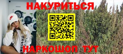 индика Балаково