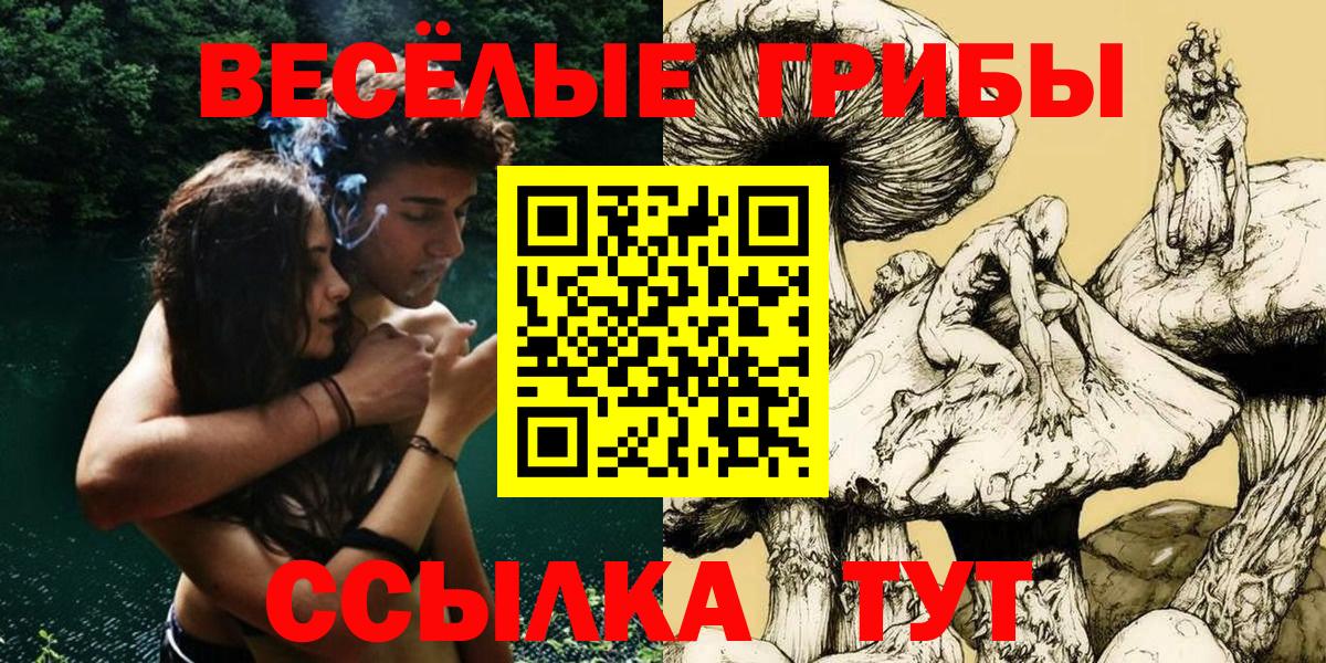 Дедовск  Галлюциногенные грибы ЛСД  Вход с VPN 